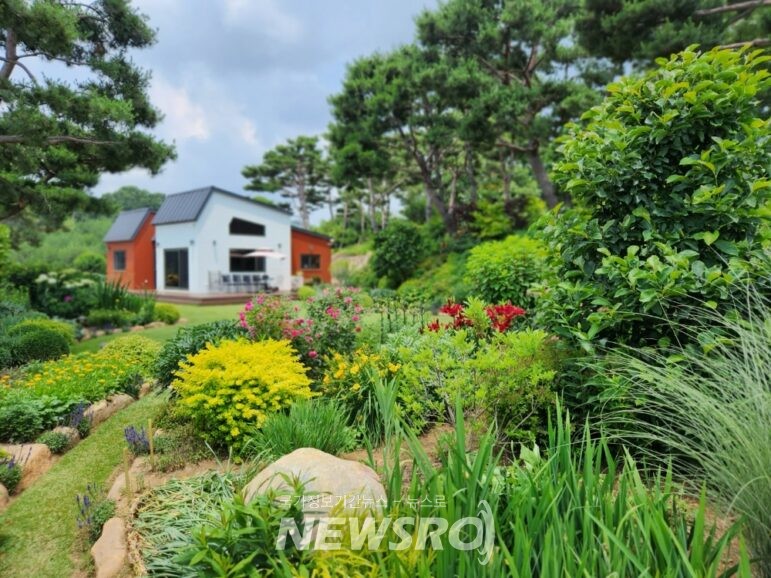 M.S garden