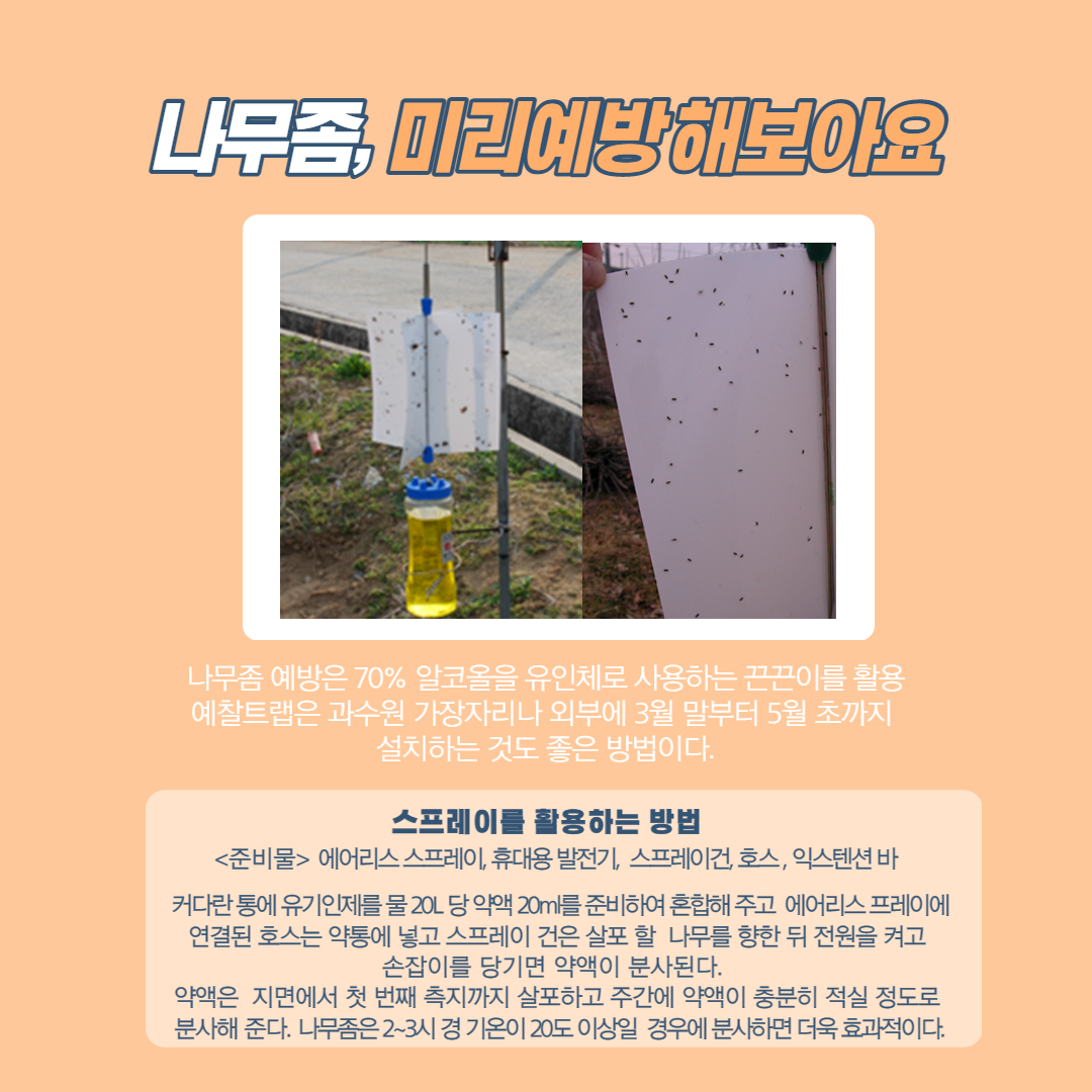 소나무민박