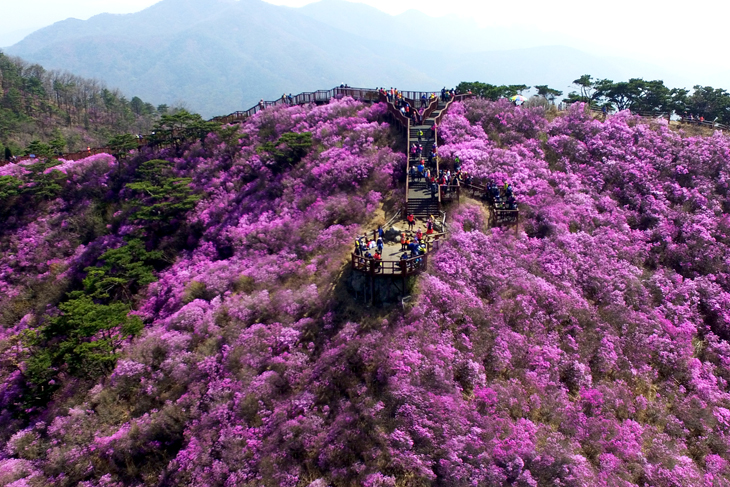 고려산 민박