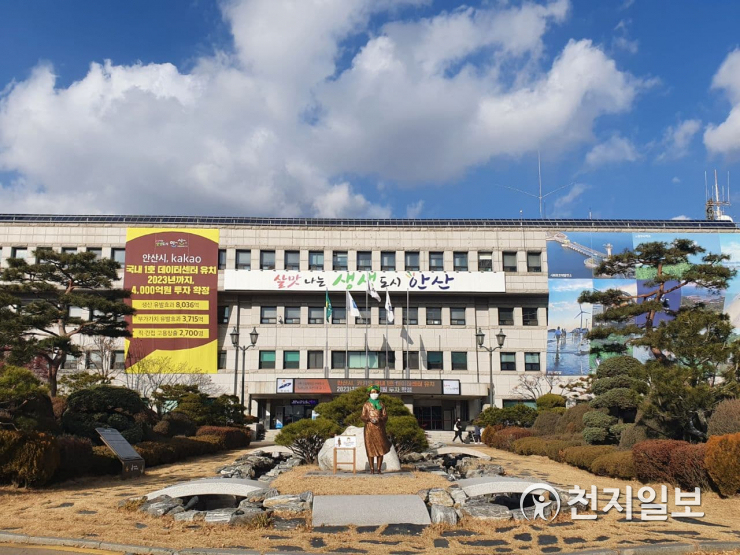 소나무