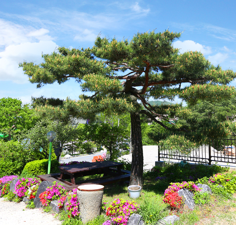 용인하늘이닿은집펜션