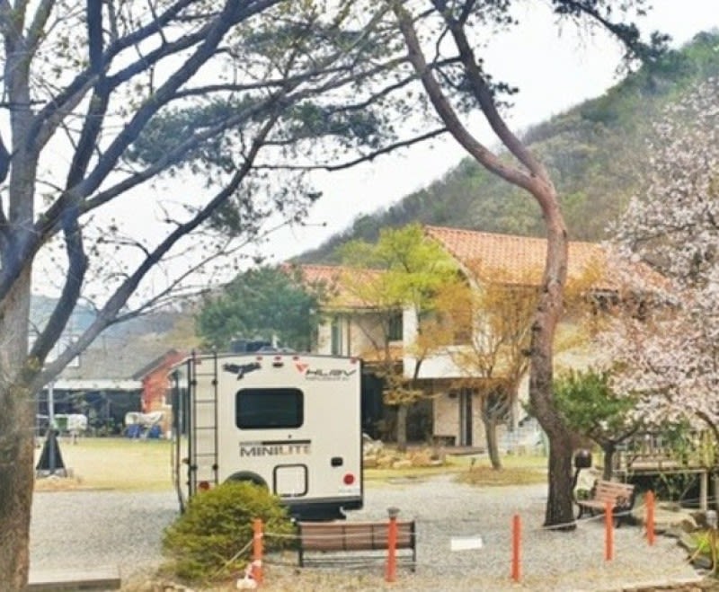 에이스팬션 캬라반