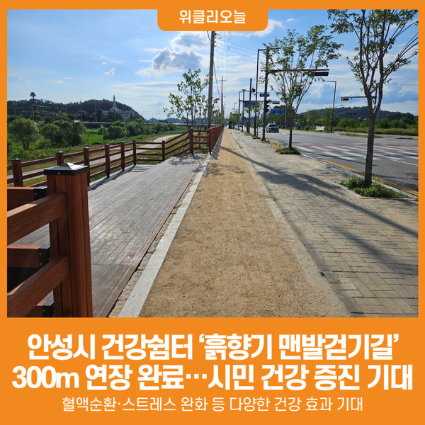 솔향기흙내음