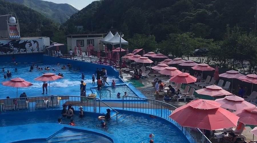 어린왕자의나무별