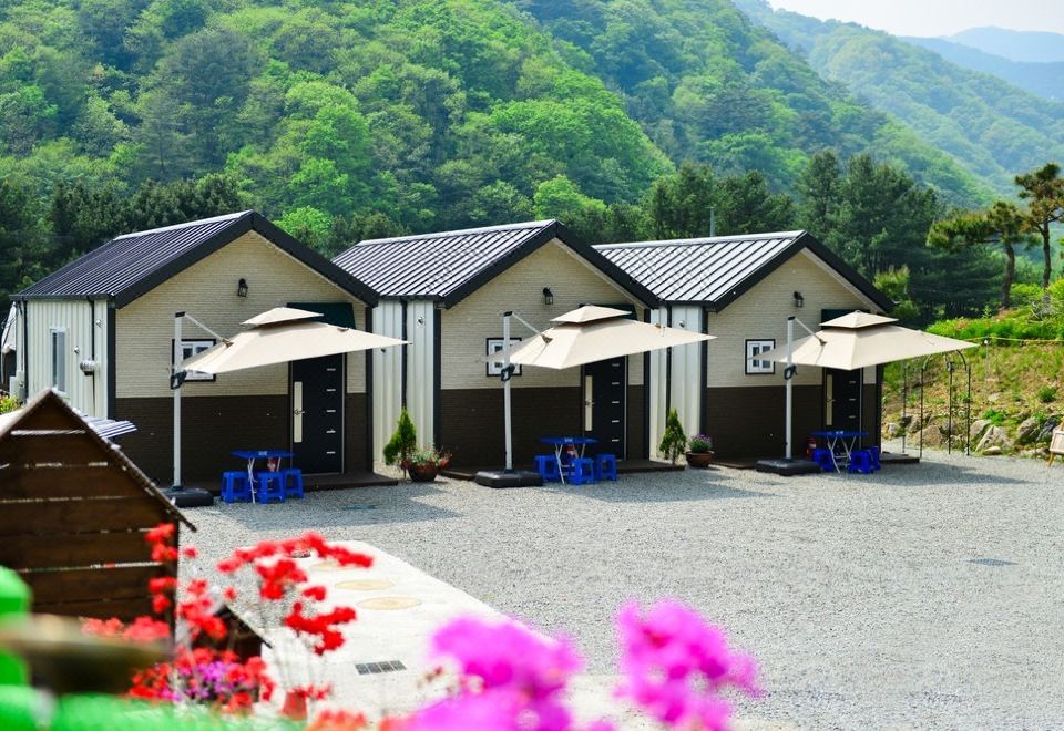 명지산 계곡 스테이