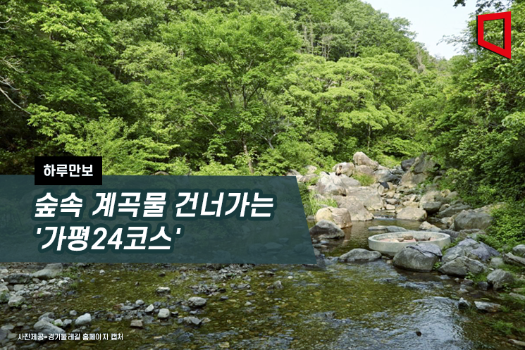 숲속의 하루