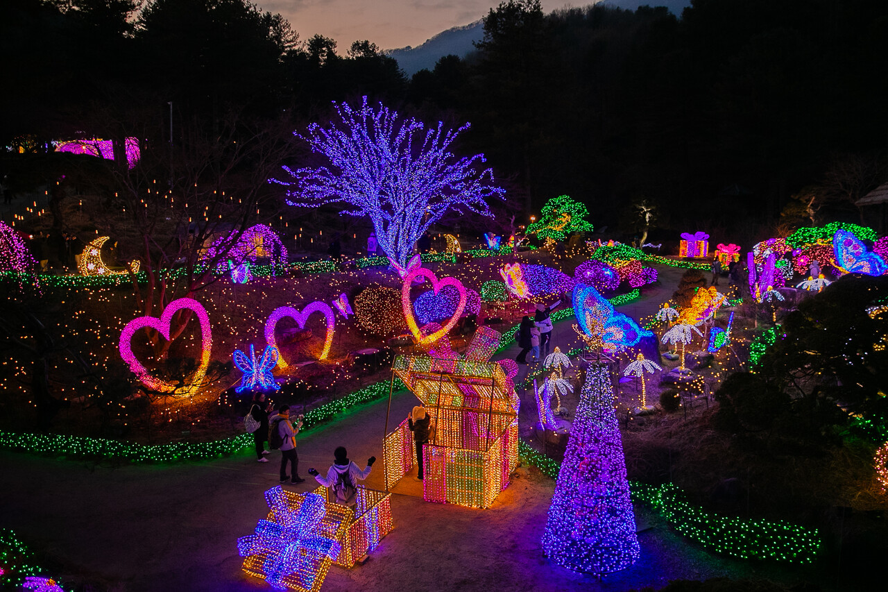 별빛