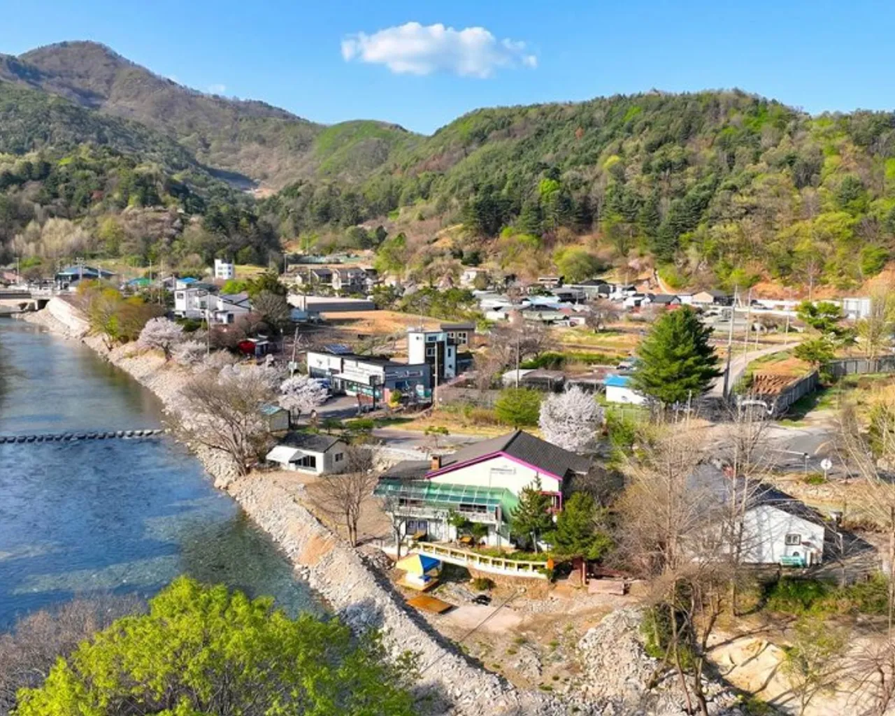 카리브펜션