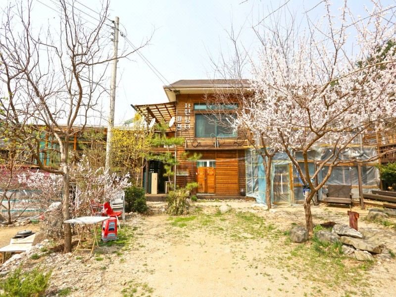 드림펜션