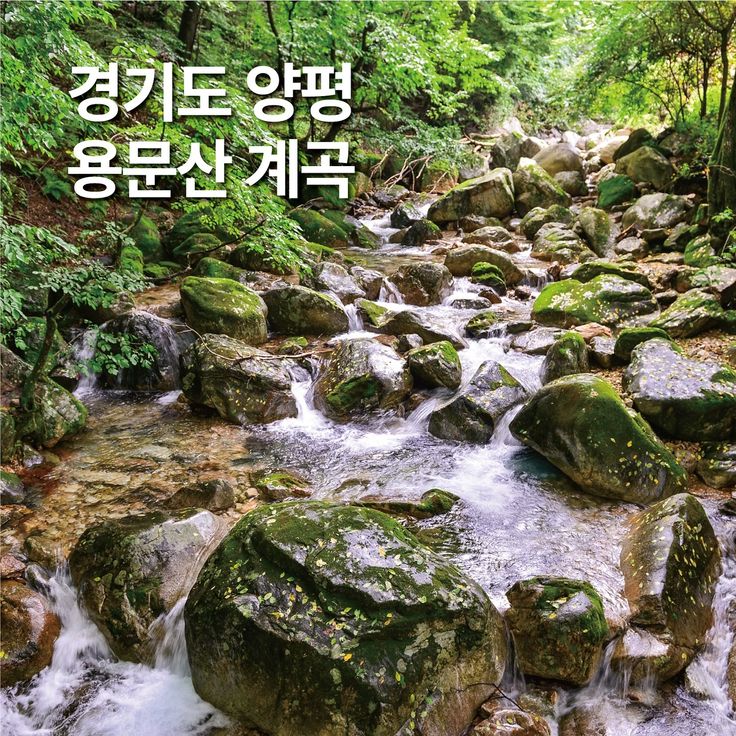 용문산계곡 펜션