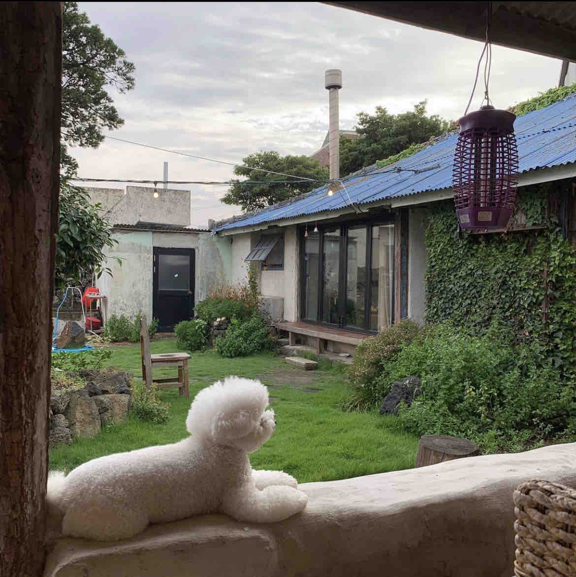 아포레 힐