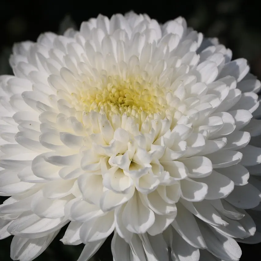 산과여울