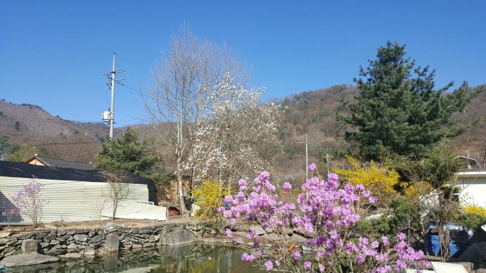 무릉도원