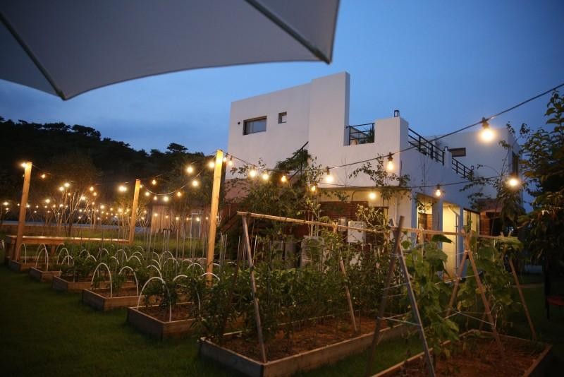 스테이제부