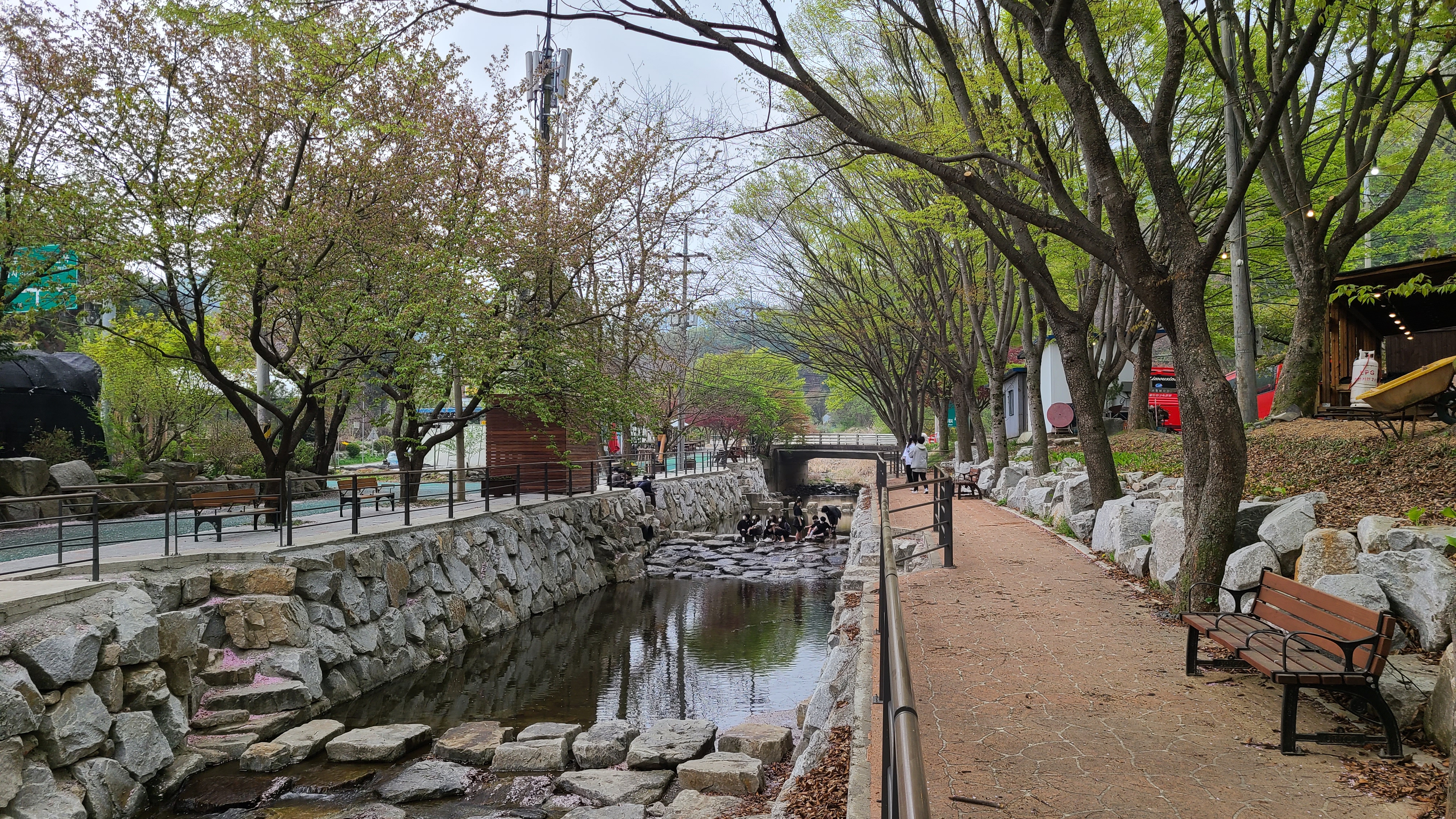 루돌프황토민박