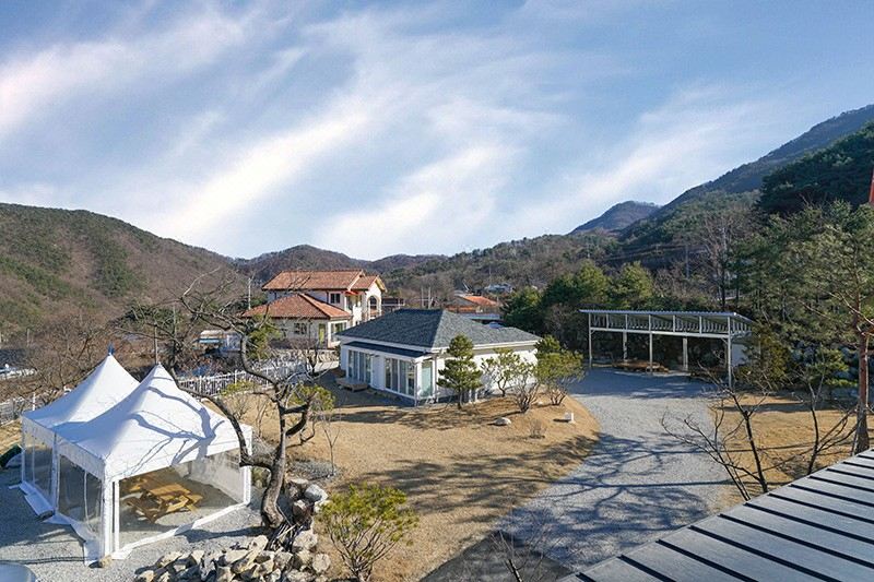 천년의 하루