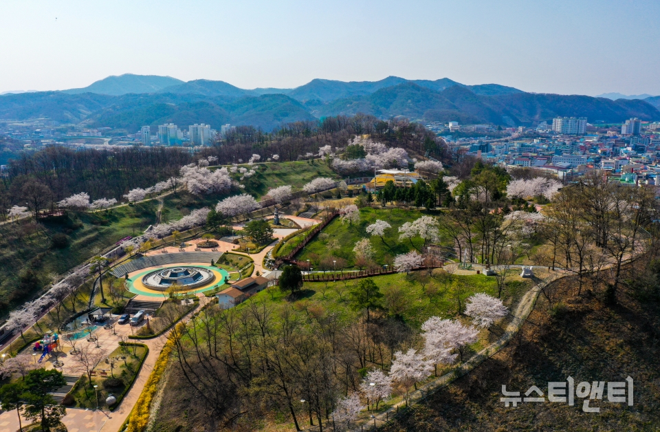 풀빛동산