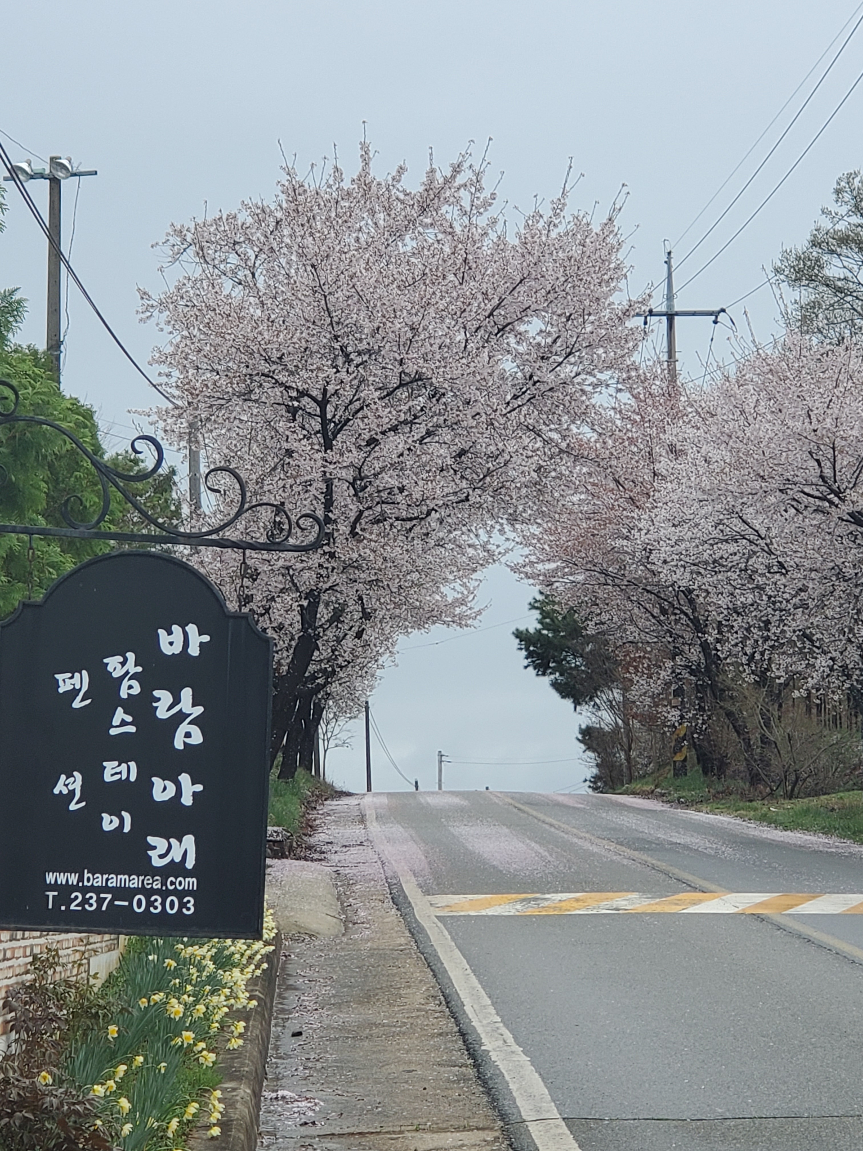 바람아래팜스테이