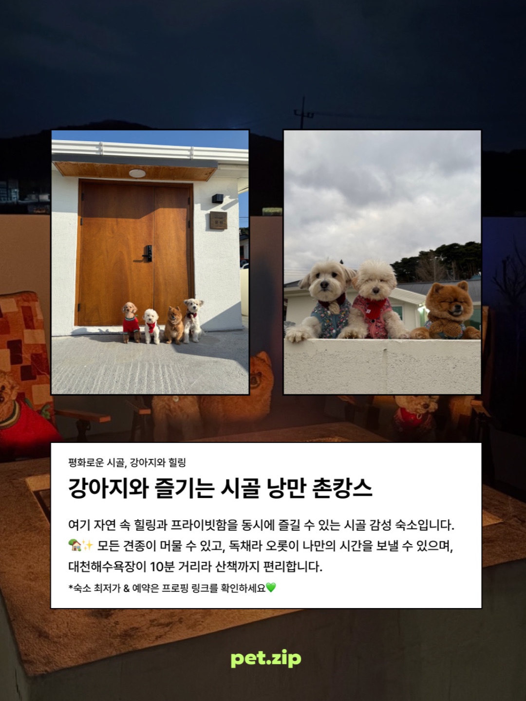 문원