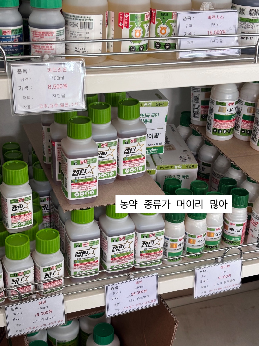금사리 빨간지붕집