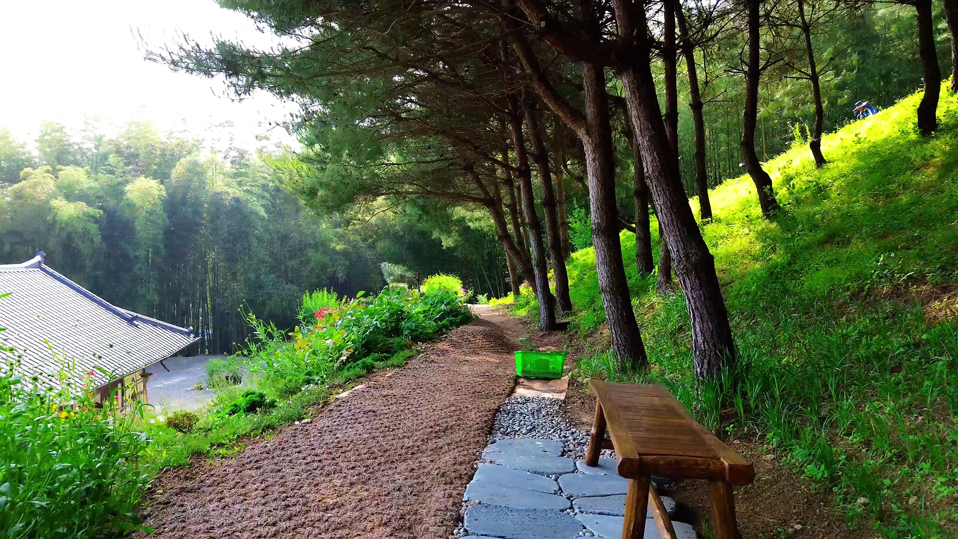 산정리 그옛집