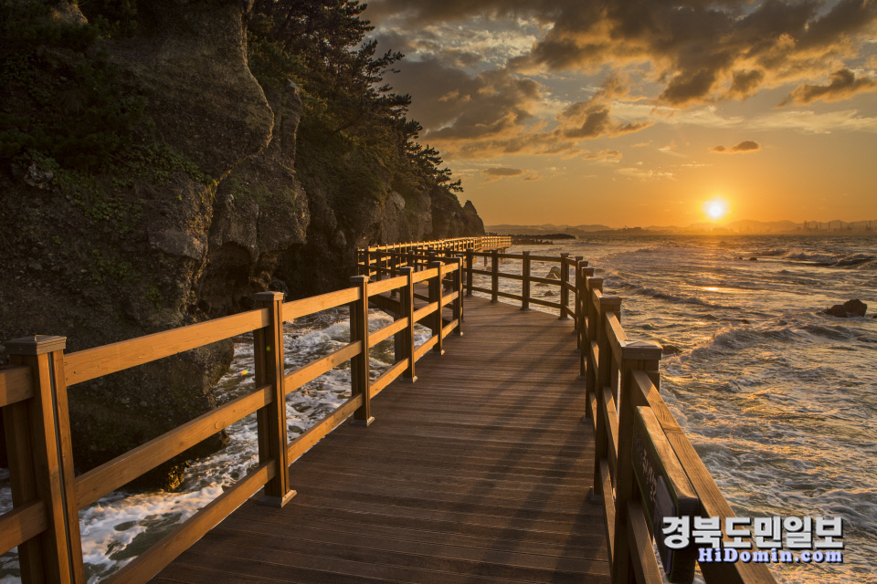 헬로우 마이쉼