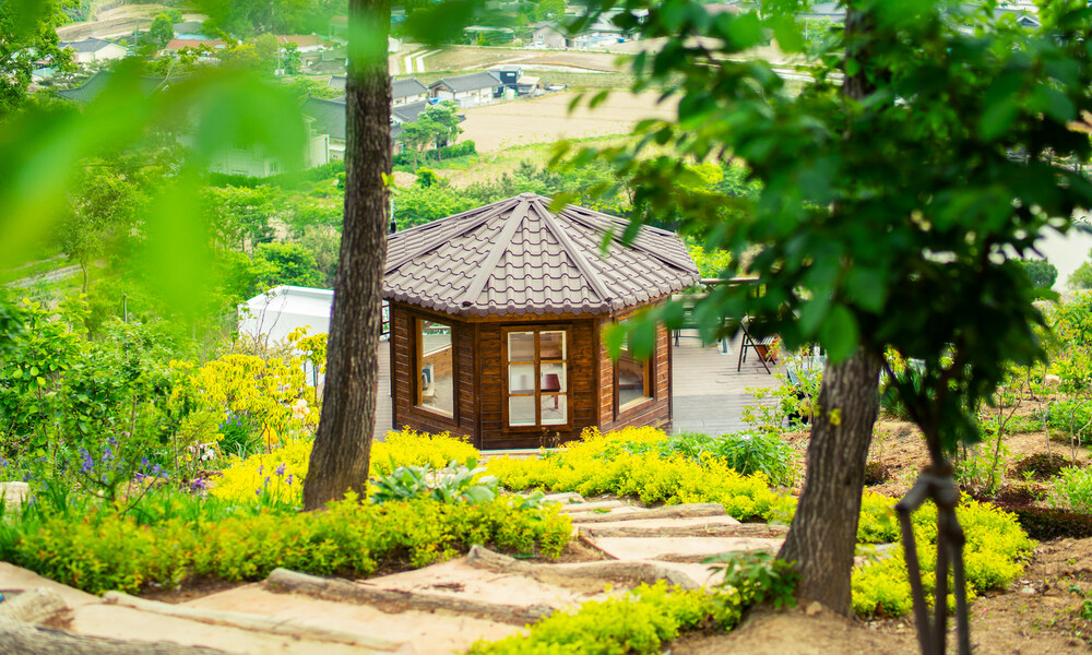 포레스트 173