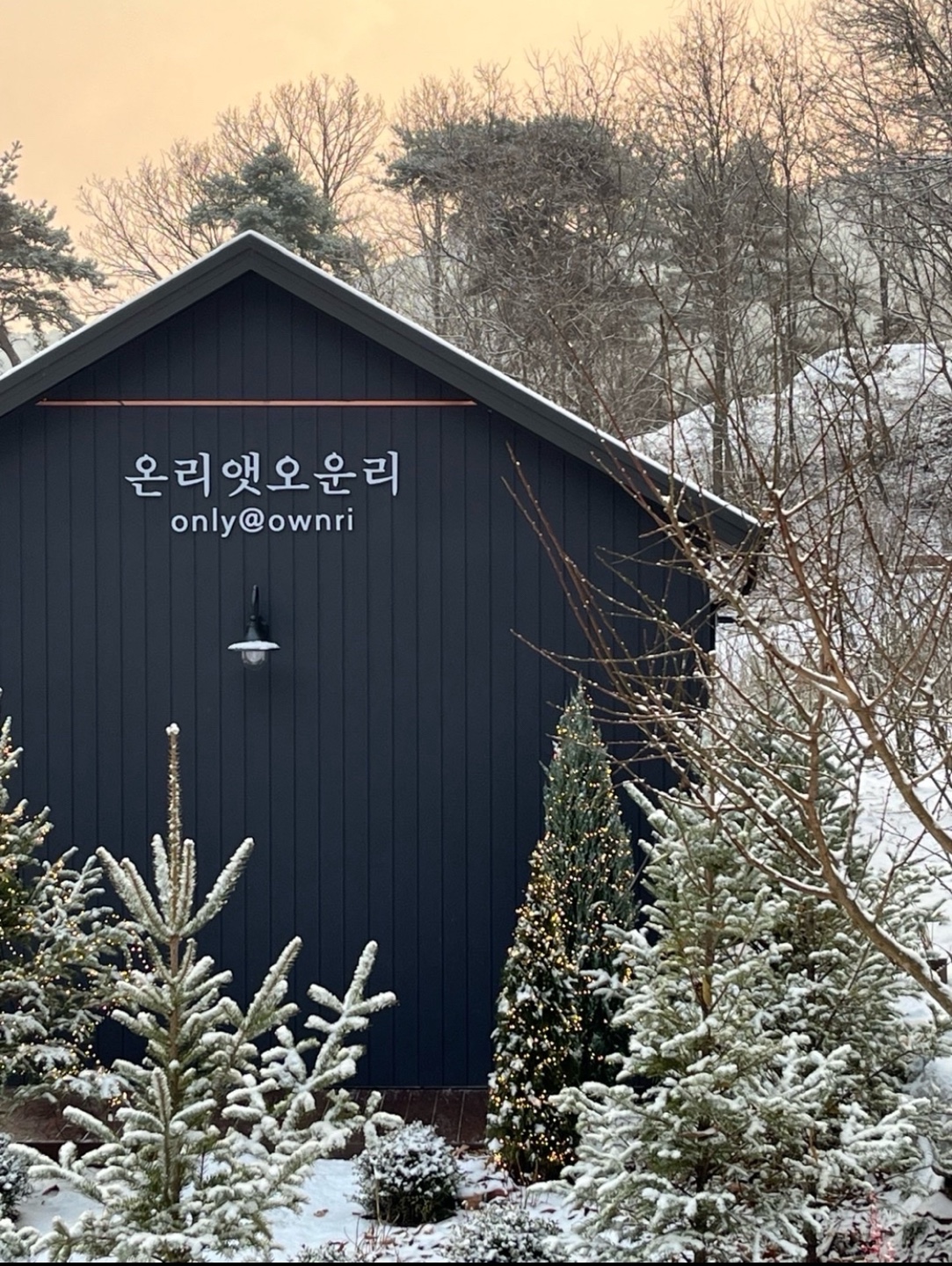 온리앳오운리