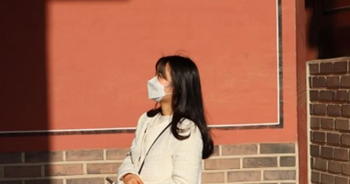 모모스테이
